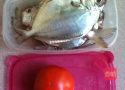 清蒸油立鱼的做法图解1