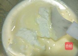 自制雪糕冰激凌的做法图解10