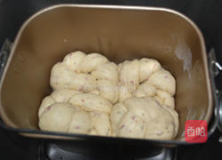 海苔培根吐司的做法图解22