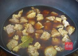 胡萝卜炖牛腩的做法图解4