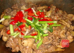 啤酒南乳焖鸭子的做法图解6