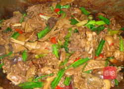 啤酒南乳焖鸭子的做法图解10