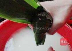 双豆蜜枣粽的做法图解6