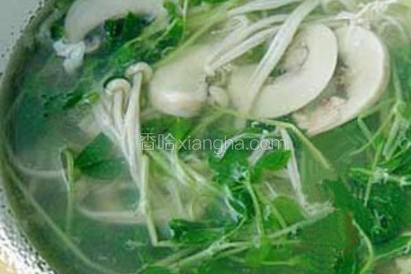 豆苗蘑菇汤