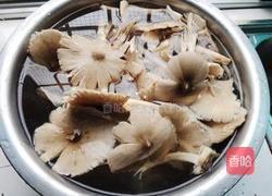 自制鸡枞油的做法图解1