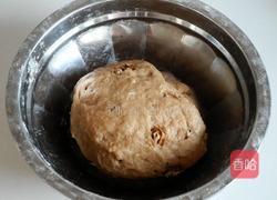巧克力酱核桃饼干的做法图解9