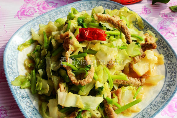 包菜肉丝