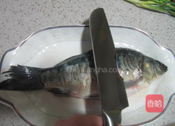 清蒸葱香鲫鱼的做法图解2