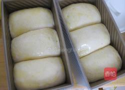 麦片土司的做法图解11