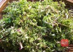 艾草馒头的做法图解1