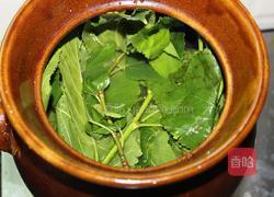 桑叶排骨汤的做法图解7