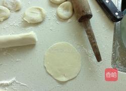 猪肉包菜饺的做法图解5