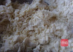 猪肉大头菜蒸饺的做法图解1