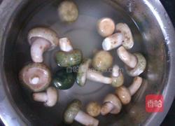 青头菌酿肉的做法图解1