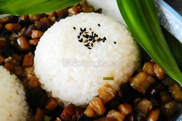 茄丁卤肉饭