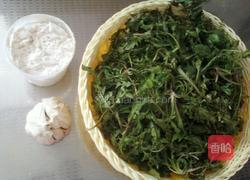 蒸荠菜的做法图解2