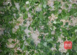 萝卜糕的做法图解16