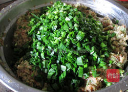 槐花包子的做法图解8