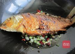 皮馕烧鲤鱼的做法图解8