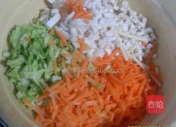 杂菜饼的做法图解1