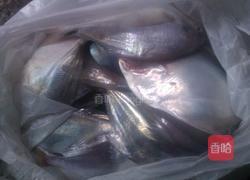 雪菜烧小鲳鱼的做法图解1