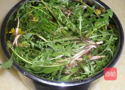 蒲公英鸡蛋汤的做法图解1