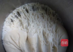 鲜肉玉米包的做法图解4