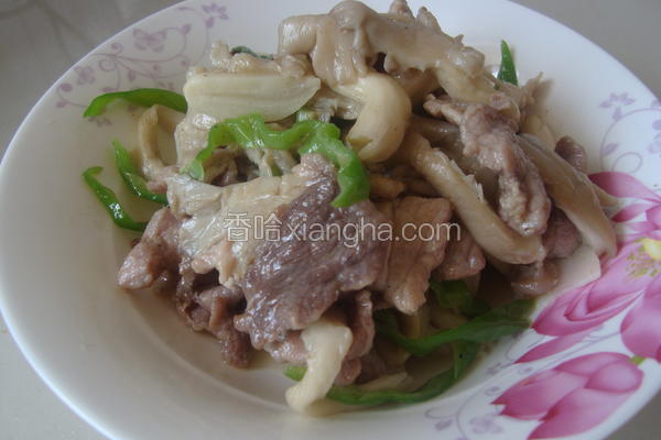 蘑菇肉片