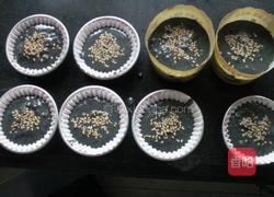 补血女士蛋糕的做法图解12