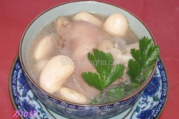 芸豆蹄花汤