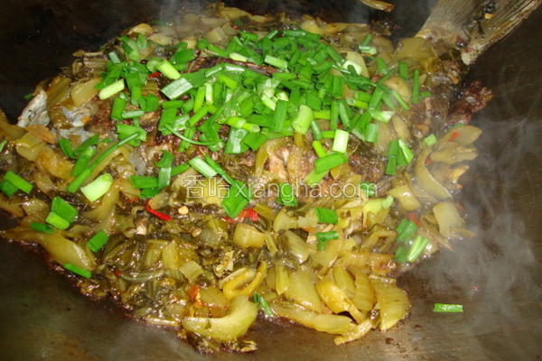 酸菜鲤鱼