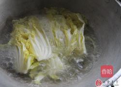 牛奶煨白菜的做法图解3