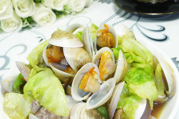 包心菜炒圆蛤