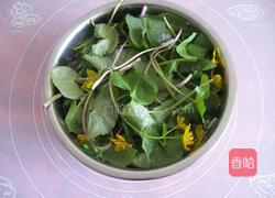 凉拌马蹄菜的做法图解1