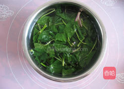 凉拌马蹄菜的做法图解3