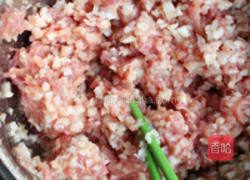 莲藕狮子头的做法图解5