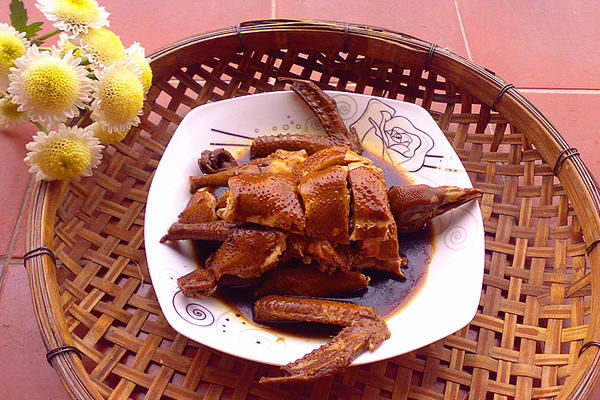 玫瑰露鸽子