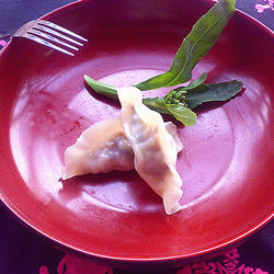 虫草云耳香菜饺的做法[图]