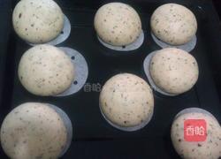 意式欧芹橄榄面包的做法图解6