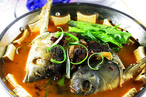 香辣鱼头豆腐火锅