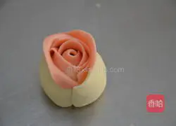 巧克力玫瑰包的做法图解12