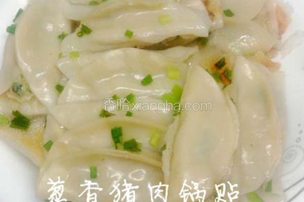 葱香猪肉锅贴