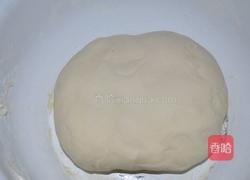 牛肉洋葱烧卖的做法图解2