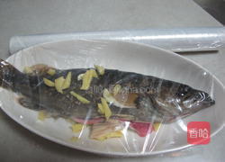 红烧野鳜鱼的做法图解4