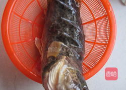 红烧野鳜鱼的做法图解5