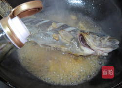 红烧野鳜鱼的做法图解11
