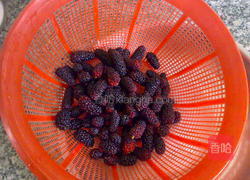 桑葚酒的做法图解4