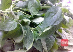 金银蛋辣椒叶的做法图解1