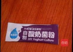 自制酸奶的做法图解1