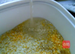 金银饭的做法图解2